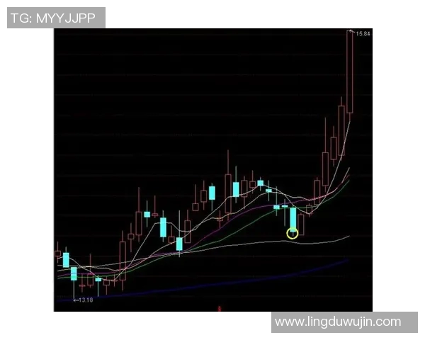 深入分析杭州排球队反击战术的独特魅力与实战应用